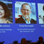 3 Ilmuwan Raih Nobel Kedokteran 2025 Berkat Penemuan Sistem Kekebalan Tubuh