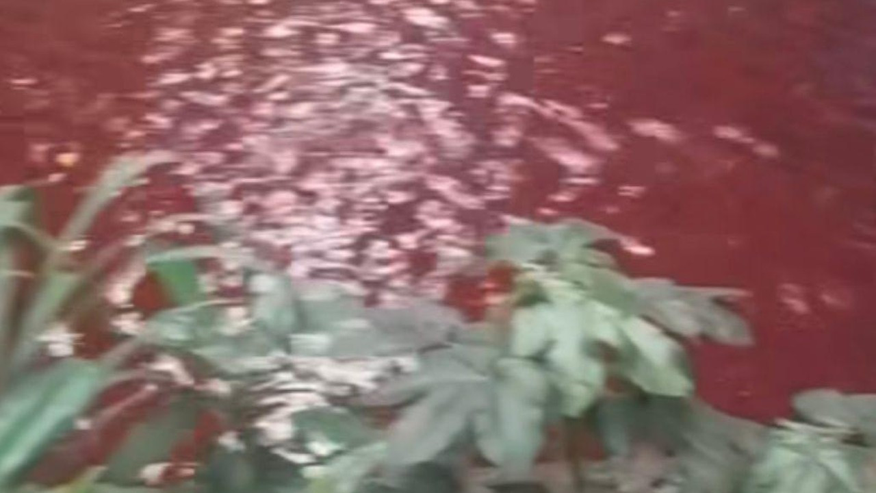 Air Kali di Serpong Berubah Merah, Pemkot Tangsel Langsung Cek Penyebabnya