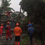 Angin Kencang Terjang Bogor, 41 Rumah dan Sekolah Alami Kerusakan