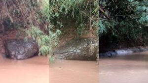 Batu Mirip Ular Raksasa di Thailand Hebohkan Warga dan Netizen