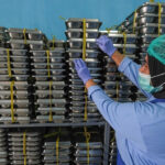 Dinkes DKI Proses Sertifikat Laik Sehat untuk 180 SPPG di Jakarta