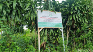 Dua Desa di Sukamakmur Bogor Dilelang, Warga Tak Bisa Kelola Tanah Warisan