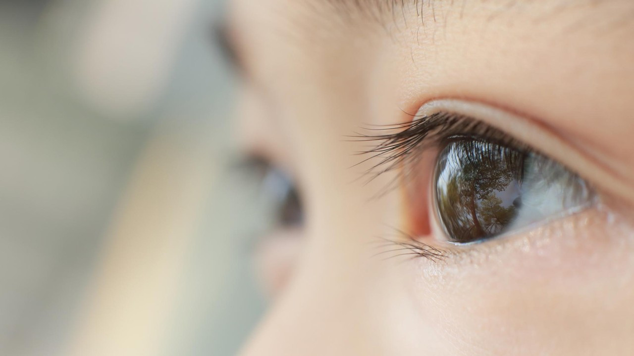 Hari Penglihatan Sedunia 2025: Sejarah dan Tema #LoveYourEyes yang Menginspirasi