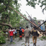 Hujan Angin Kencang di Tangsel Sebabkan Pohon Tumbang dan Reklame Roboh