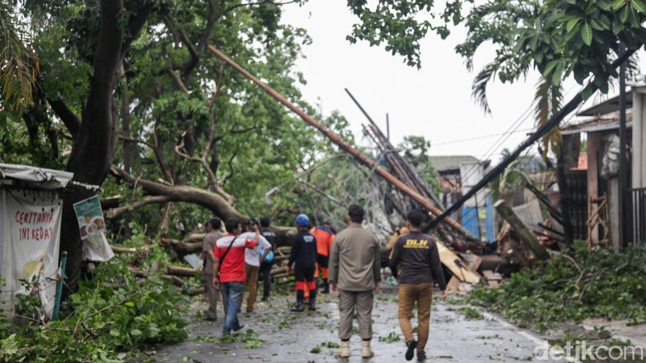 Hujan Angin Kencang di Tangsel Sebabkan Pohon Tumbang dan Reklame Roboh