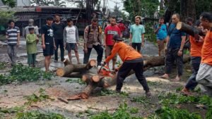 Hujan Deras Sebabkan Pohon Tumbang di Limo Depok, Lalu Lintas Terhambat