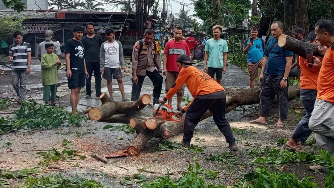Hujan Deras Sebabkan Pohon Tumbang di Limo Depok, Lalu Lintas Terhambat Hujan Deras Sebabkan Pohon Tumbang di Limo Depok, Lalu Lintas Terhambat