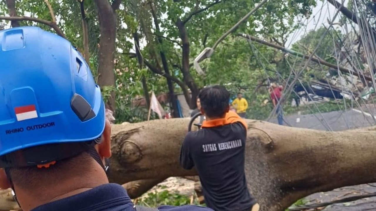 Hujan Deras dan Angin Kencang Sebabkan Pohon Tumbang di 7 Titik Bintaro, Warung Ikut Tertimpa Hujan Deras dan Angin Kencang Sebabkan Pohon Tumbang di 7 Titik Bintaro, Warung Ikut Tertimpa