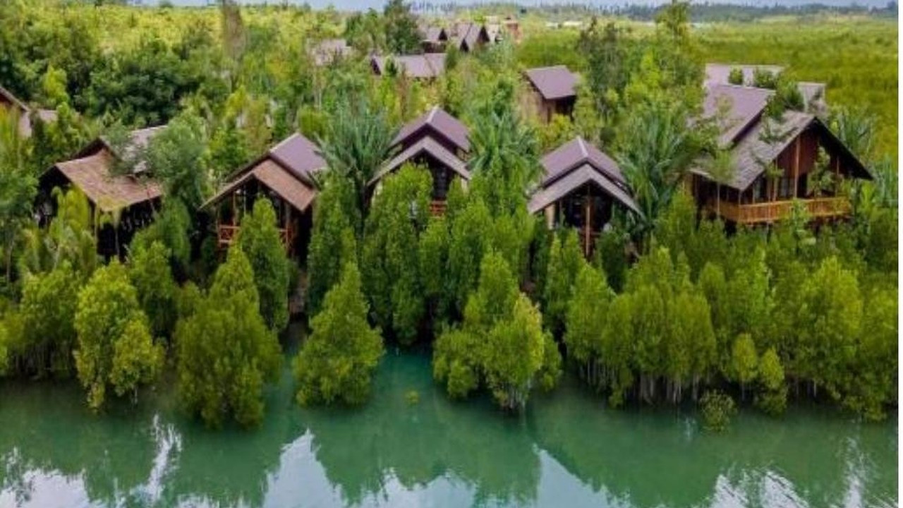 Krisis Mangrove dan Pentingnya Dekolonialisasi Pengetahuan dalam Mitigasi Iklim