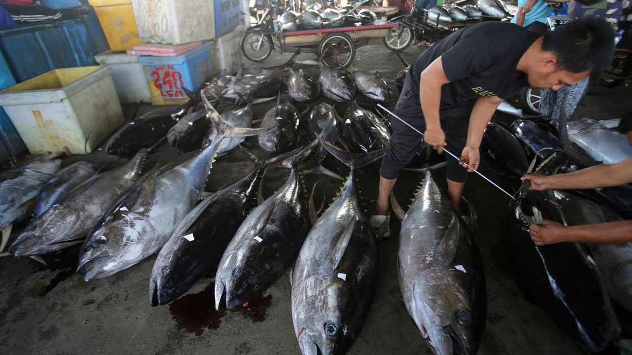 Mengungkap Dinamika Ekonomi Politik Perdagangan Seafood Global