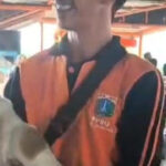 Pasukan Oranye Turunkan Kucing dan Bersihkan Kotoran di Skywalk Kebayoran Lama