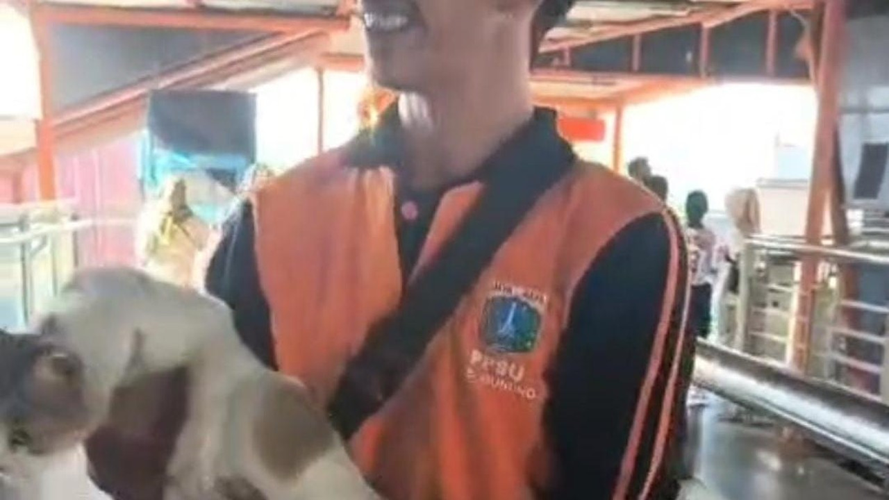 Pasukan Oranye Turunkan Kucing dan Bersihkan Kotoran di Skywalk Kebayoran Lama