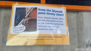 Peringatan Baru di Skywalk Kebayoran: Tempat Khusus untuk Beri Makan Kucing