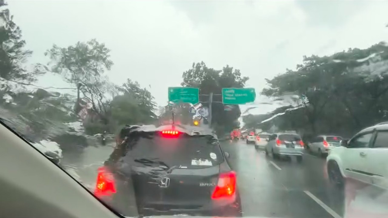 Pohon Tumbang di BSD Bikin Macet Parah, Pengendara Terjebak 2 Jam Cari Jalan Pohon Tumbang di BSD Bikin Macet Parah, Pengendara Terjebak 2 Jam Cari Jalan