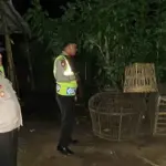 Polres Kalipare Tangkap Arena Sabung Ayam Usai Aduan Masyarakat via 110