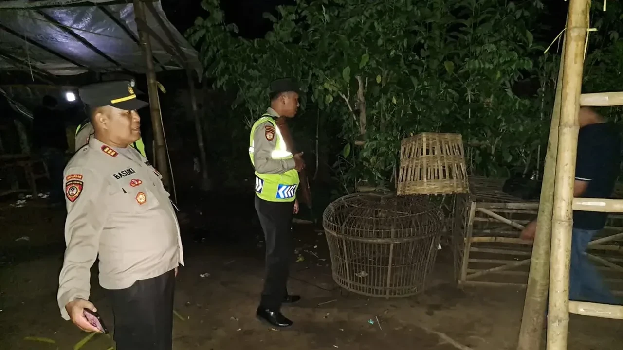 Polres Kalipare Tangkap Arena Sabung Ayam Usai Aduan Masyarakat via 110 Polres Kalipare Tangkap Arena Sabung Ayam Usai Aduan Masyarakat via 110