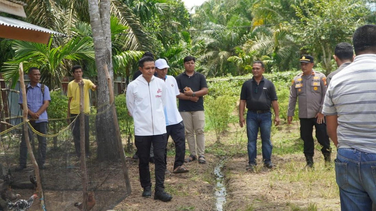 Polres Rokan Hulu Siapkan Setengah Hektare Lahan untuk Penanaman Jagung Serentak Polres Rokan Hulu Siapkan Setengah Hektare Lahan untuk Penanaman Jagung Serentak