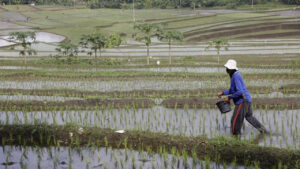 SPI Desak Pansus Konflik Agraria DPR Segera Bergerak dan Libatkan Serikat Petani
