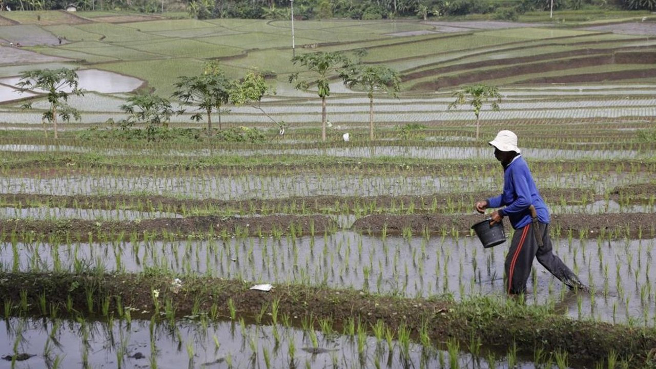 SPI Desak Pansus Konflik Agraria DPR Segera Bergerak dan Libatkan Serikat Petani