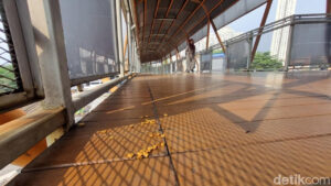 Warga Resah Kotoran Kucing di Skywalk Kebayoran, PSI Usul Lokasi Makan Khusus